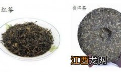 普洱茶与红茶的区别