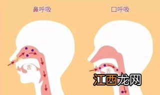 怎么样判断孩子是不是用嘴呼吸 判断孩子是不是用嘴呼吸的方法