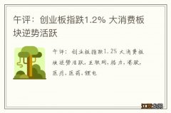 午评：创业板指跌1.2% 大消费板块逆势活跃