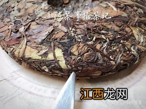 白茶茶饼天天喝怎么放