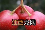 梭子蟹可以冷冻吗 梭子蟹冷冻保存多久