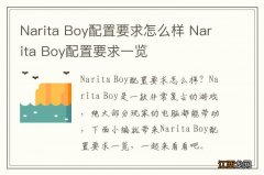 Narita Boy配置要求怎么样 Narita Boy配置要求一览