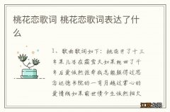 桃花恋歌词 桃花恋歌词表达了什么