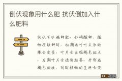 倒伏现象用什么肥 抗伏倒加入什么肥料