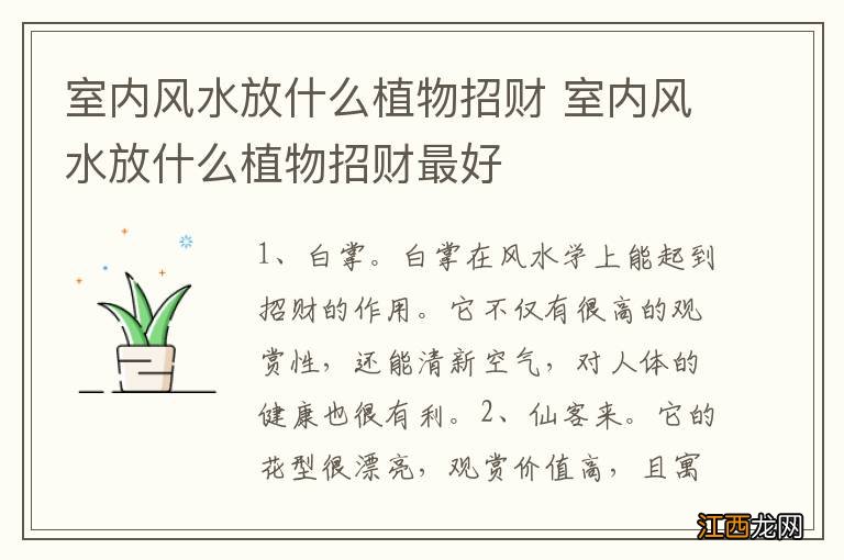 室内风水放什么植物招财 室内风水放什么植物招财最好