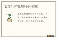 武汉今年可以返乡过年吗？