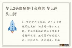 梦见2头白猪是什么意思 梦见两头白猪