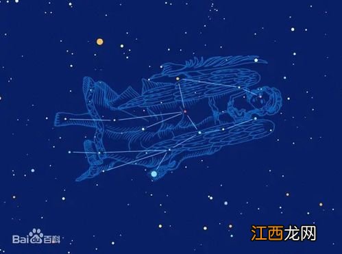 八月的12星座是什么星座 有何特点