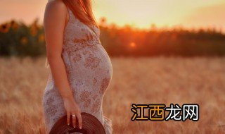 女人梦见月季花 孕妇梦见月季花是什么意思