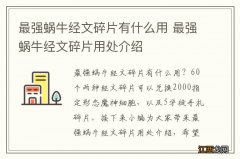 最强蜗牛经文碎片有什么用 最强蜗牛经文碎片用处介绍