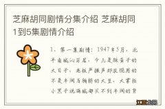 芝麻胡同剧情分集介绍 芝麻胡同1到5集剧情介绍