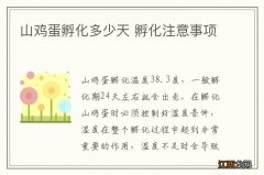 山鸡蛋孵化多少天 孵化注意事项