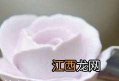 奶油鲜花怎么做