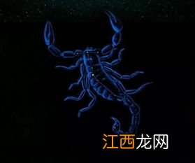 11月20日是什么星座 天蝎座的特点