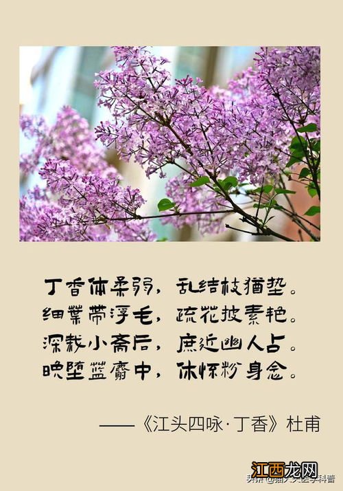 春暖花开山河无恙人间皆安这句话的意思 这句话的意思讲解