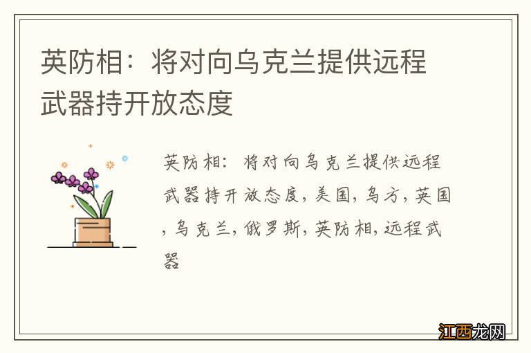 英防相：将对向乌克兰提供远程武器持开放态度