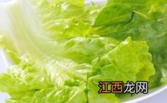 生菜有什么禁忌