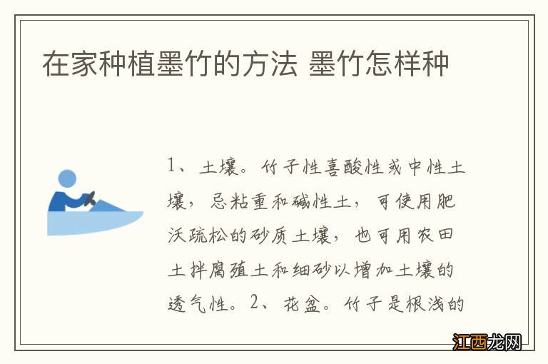 在家种植墨竹的方法 墨竹怎样种