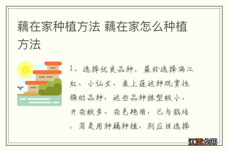 藕在家种植方法 藕在家怎么种植方法