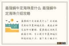 最强蜗牛定海珠是什么 最强蜗牛定海珠介绍攻略