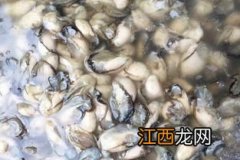 牡蛎干怎么吃最有营养价值