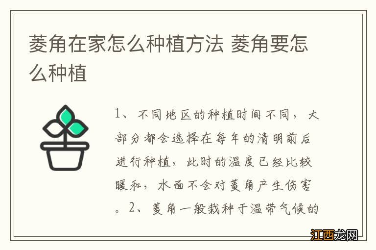 菱角在家怎么种植方法 菱角要怎么种植