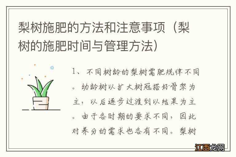 梨树的施肥时间与管理方法 梨树施肥的方法和注意事项