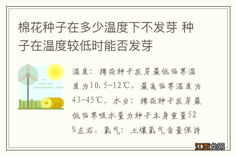 棉花种子在多少温度下不发芽 种子在温度较低时能否发芽