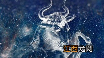 十二星座谁喜欢什么星座 最让十二星座欣赏的星座分别是谁