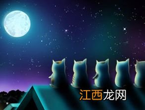 月亮星座是什么意思 月亮星座的意思介绍