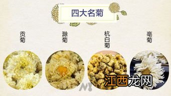 菊花里的硫磺怎么去除