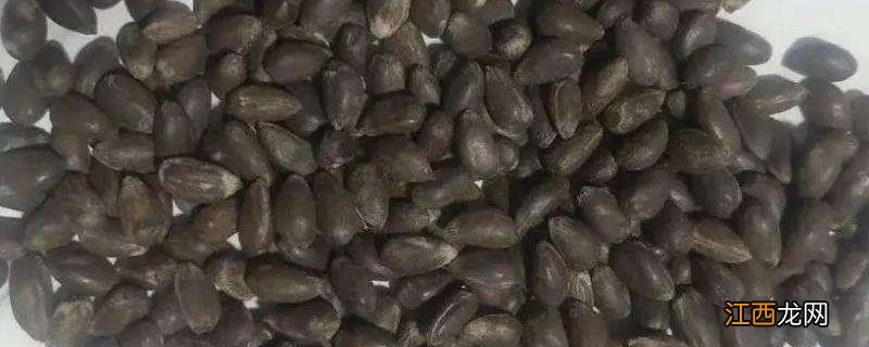 棉花种子国家标准芽率，国家种子发芽率标准