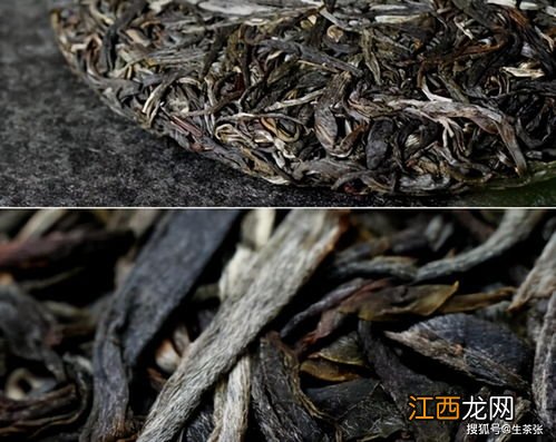 怎么识别普洱散茶的优劣