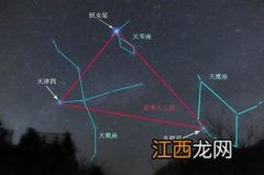 牛郎星是属于什么星座 下面为大家解答