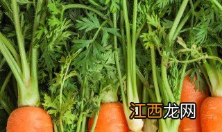 果蔬在家种植方法，果蔬在家种植方法图片