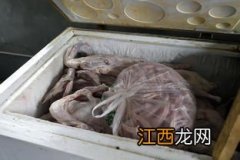 鸭肉能在冰箱冷冻多久