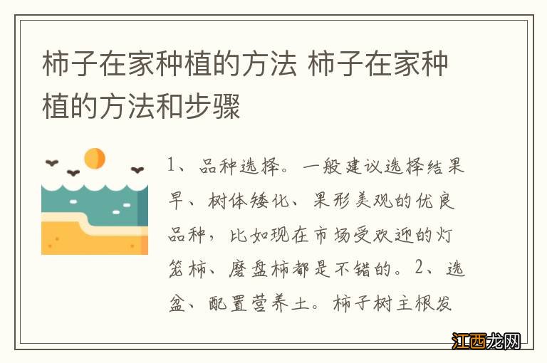 柿子在家种植的方法 柿子在家种植的方法和步骤