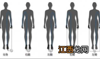 怎样测量体脂