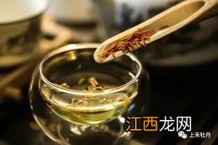 怎么泡国花蕊茶