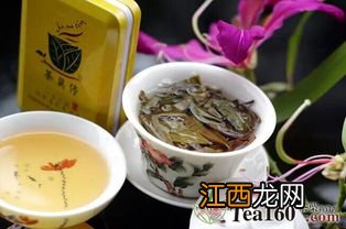 茶莫停茶怎么样