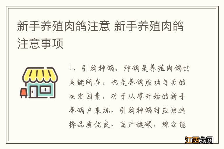 新手养殖肉鸽注意 新手养殖肉鸽注意事项