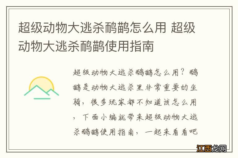 超级动物大逃杀鸸鹋怎么用 超级动物大逃杀鸸鹋使用指南