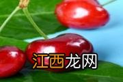 常喝菊花茶有什么用 菊花茶对身体有什么作用