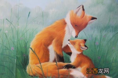 宝宝2岁后家长做到“3懒”,牢记“狐狸法则”,培养孩子强大内心