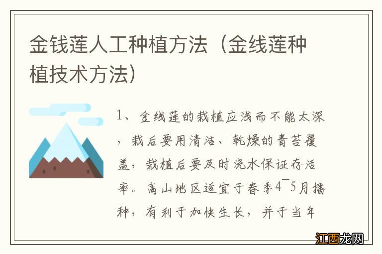 金线莲种植技术方法 金钱莲人工种植方法