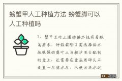 螃蟹甲人工种植方法 螃蟹脚可以人工种植吗