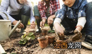 人工湿地植物的种植方法，人工湿地植物的种植方法是什么