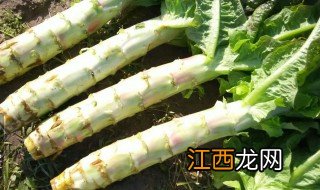 莴苣人工种植方法 莴苣人工种植方法视频