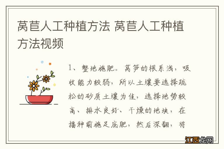 莴苣人工种植方法 莴苣人工种植方法视频