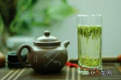 东白春芽属于什么茶种